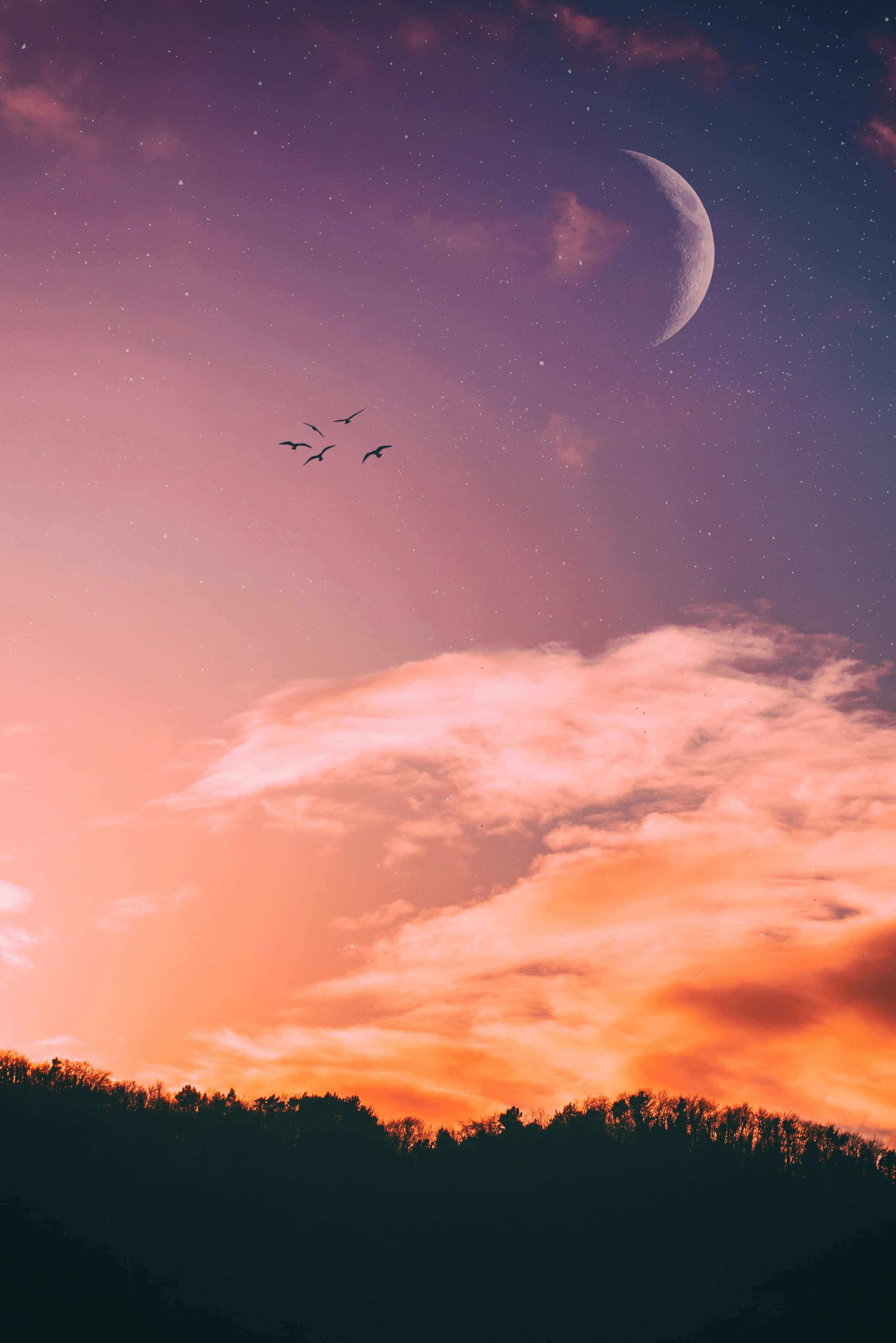 美しい夕焼け空の写真 壁紙