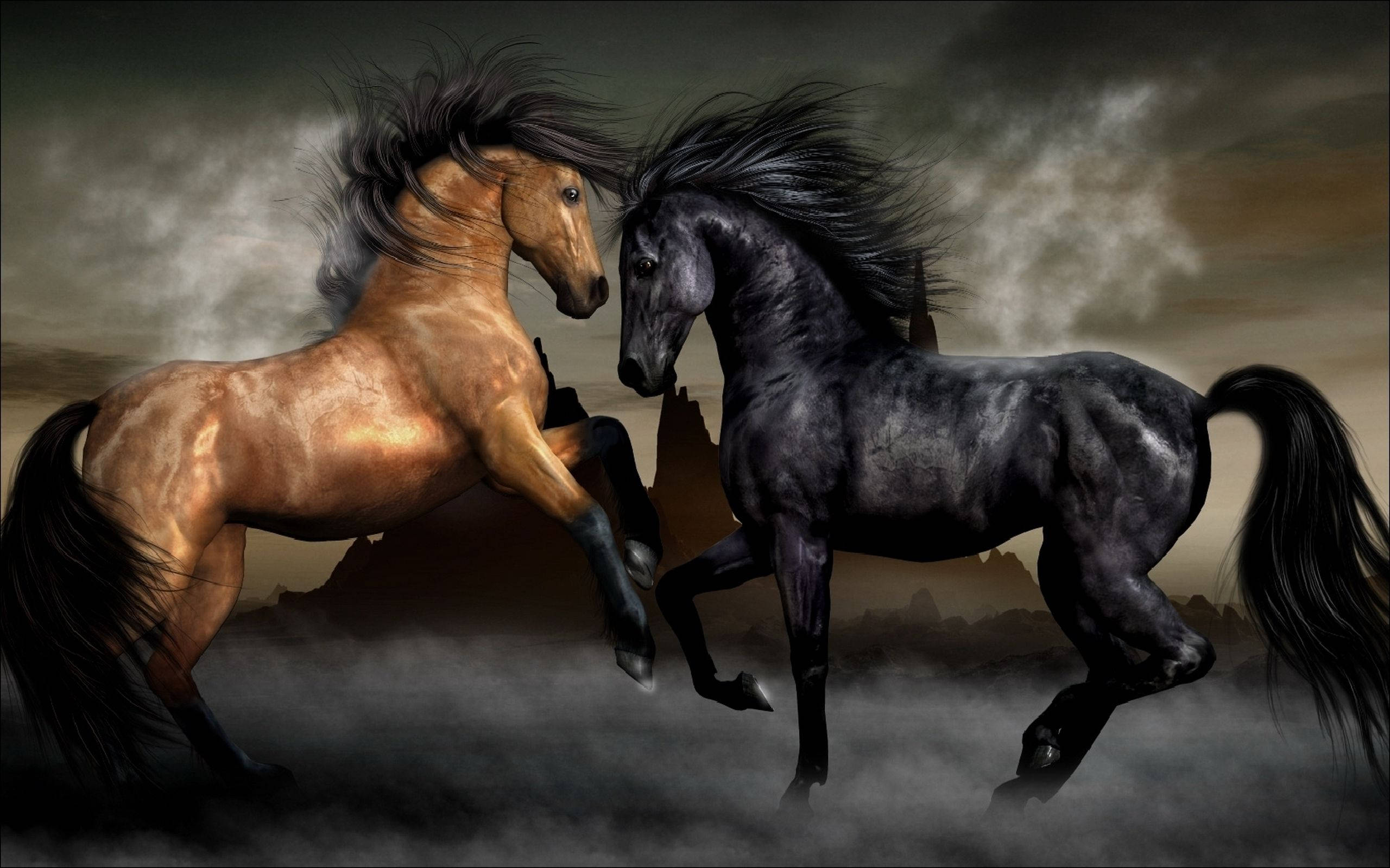 美しい茶色と黒の馬 壁紙