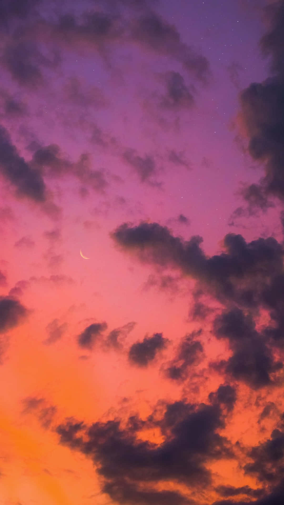 美しい雲の中を舞う 壁紙