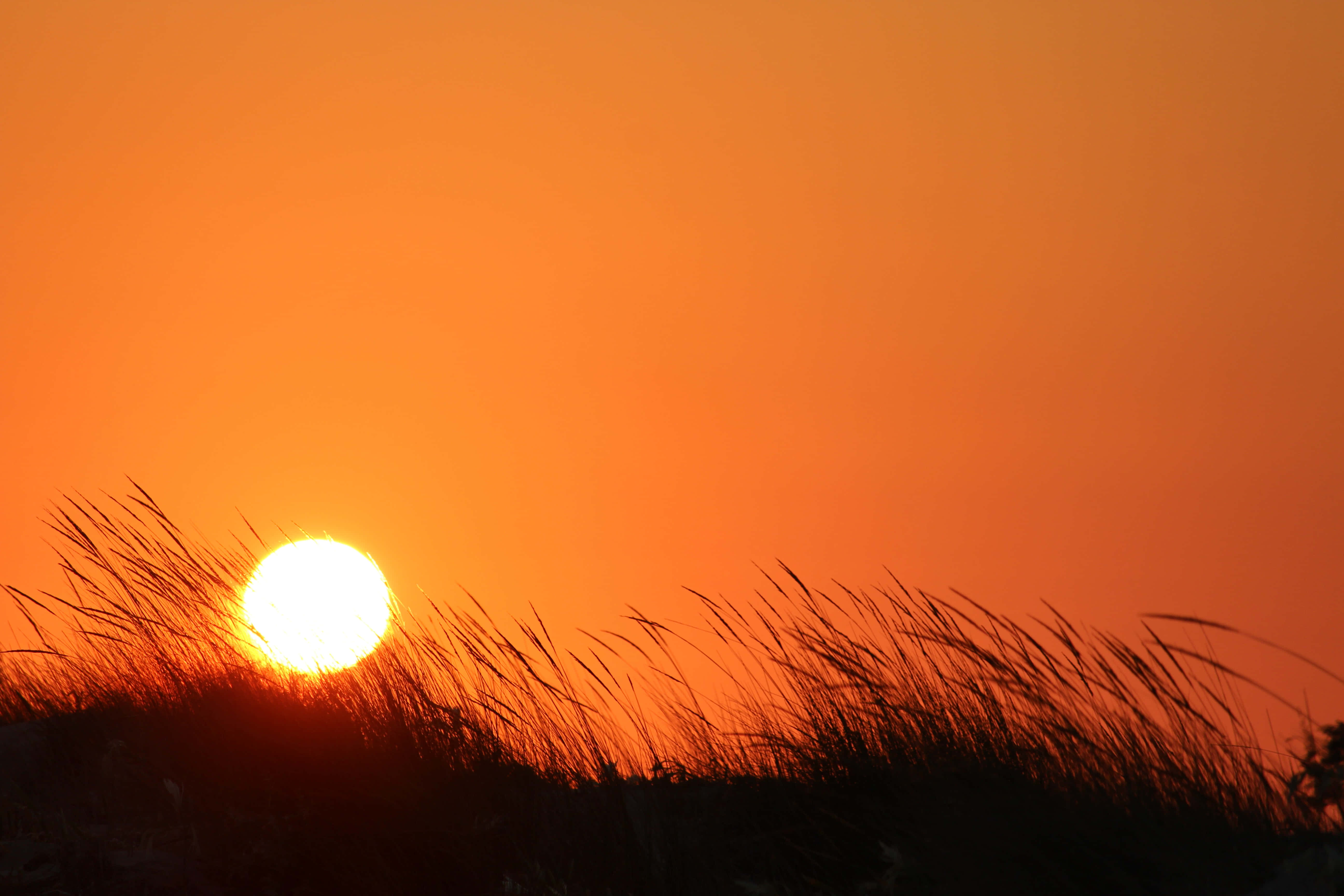 美しい黄金の夕日が空を照らす 壁紙
