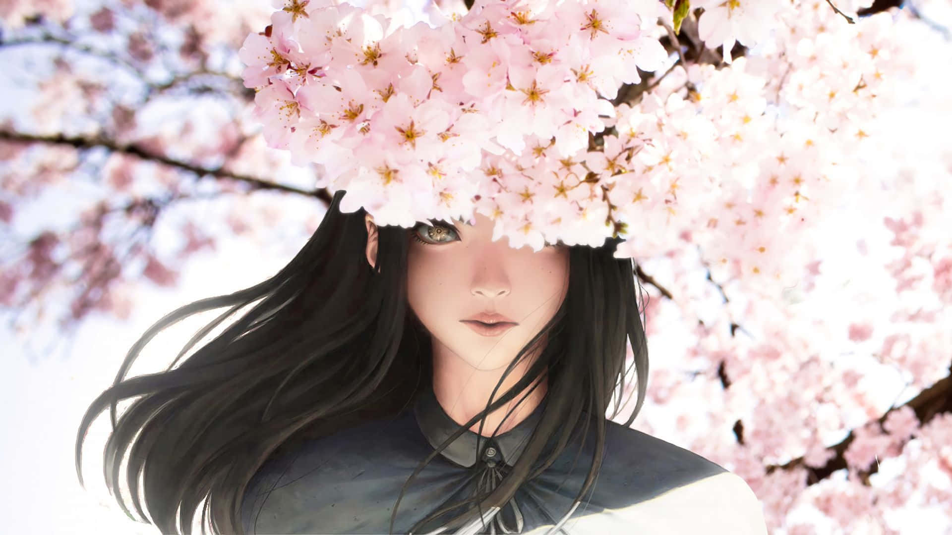 美しい黒髪の少女と桜のアニメ風花 壁紙