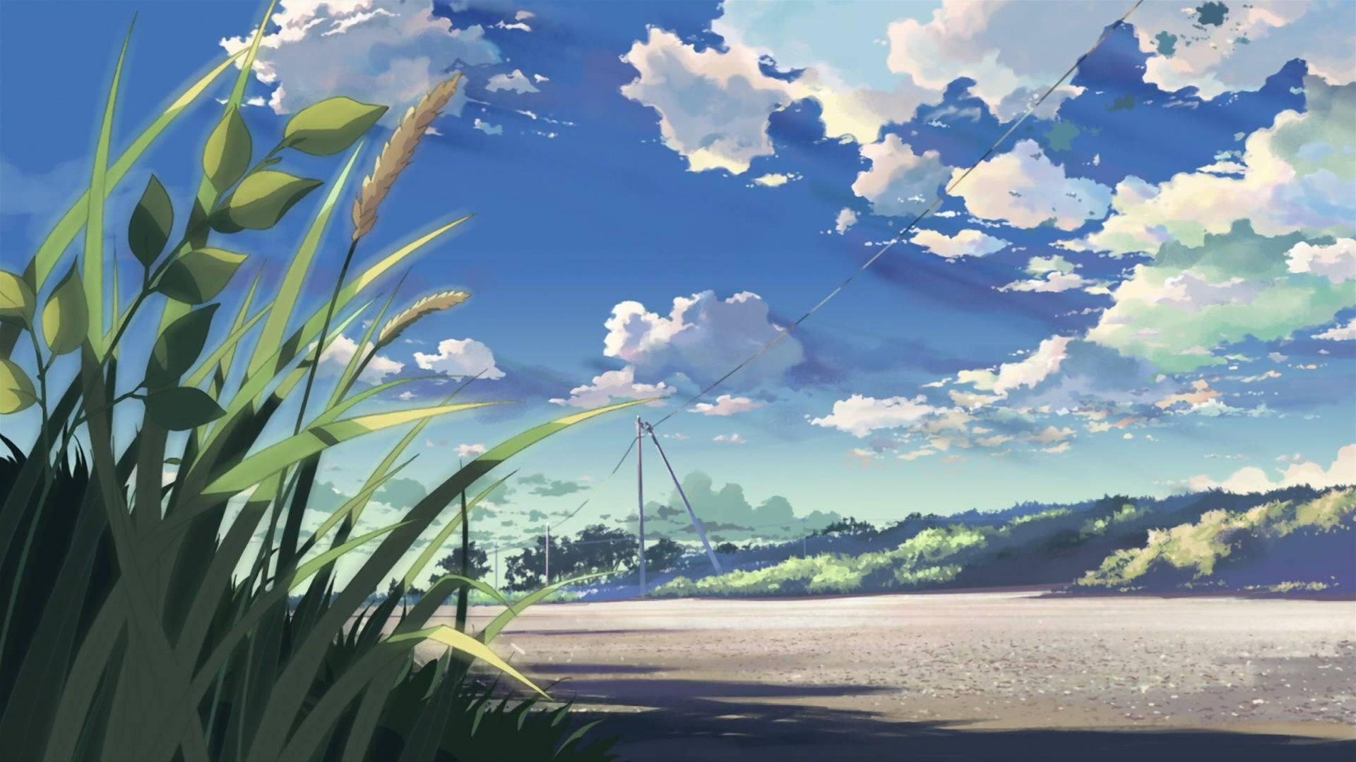 美的アート 青空 壁紙