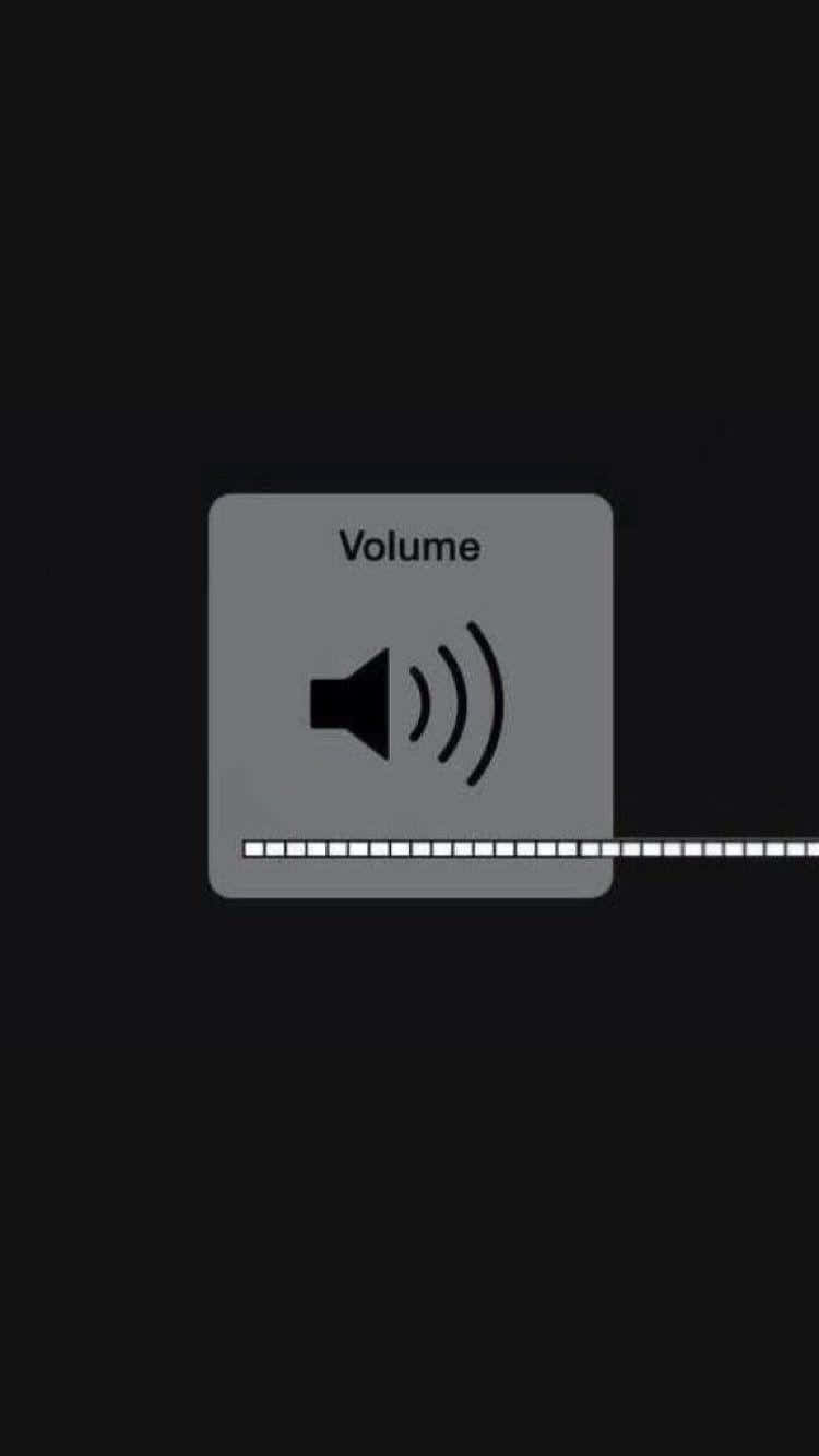 自然の中に重なる音楽の美的表現 壁紙