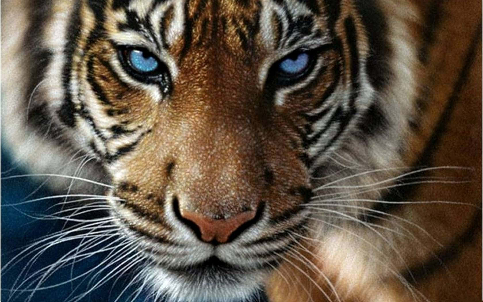 自然の生息地に佇む雄大な野生のトラ 壁紙