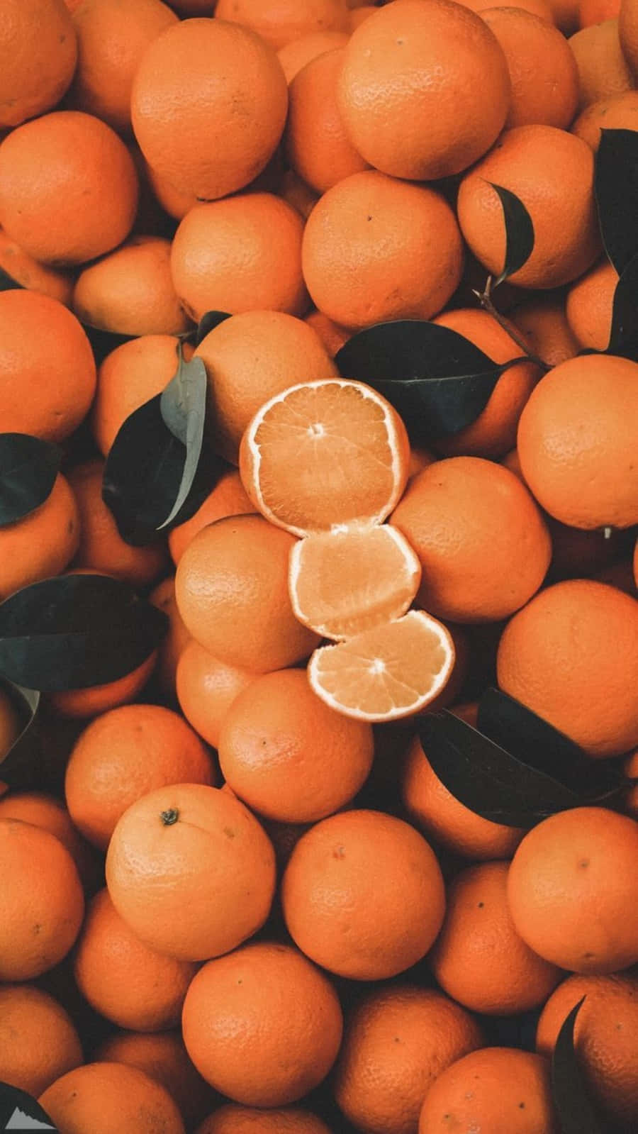 自然の美しさはオレンジ🍊を含む多彩な色で現れる 壁紙
