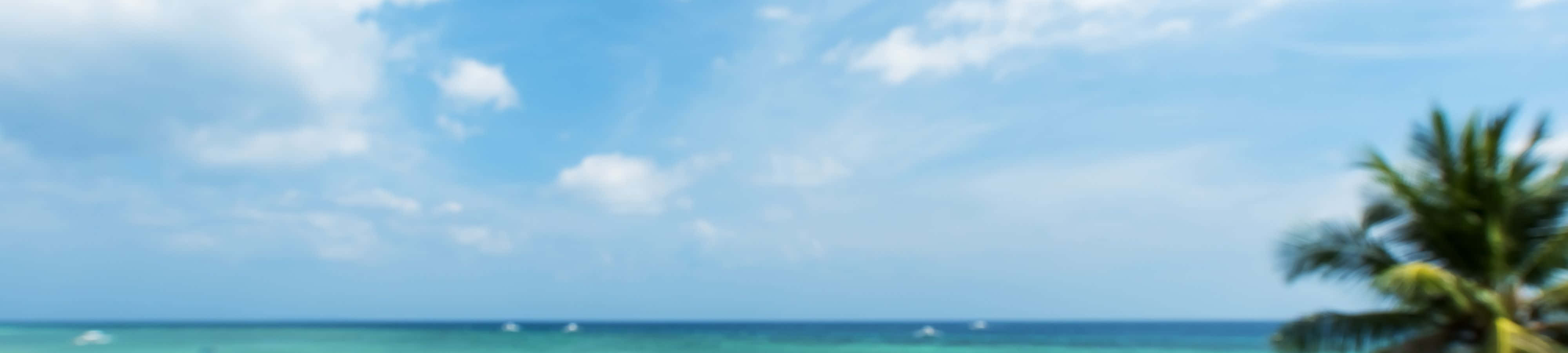 自然の美しさを楽しむ 壁紙
