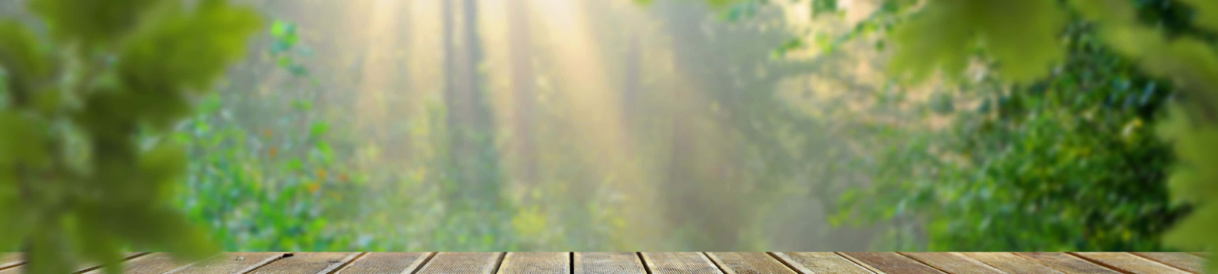 自然の美しさを楽しむ 壁紙