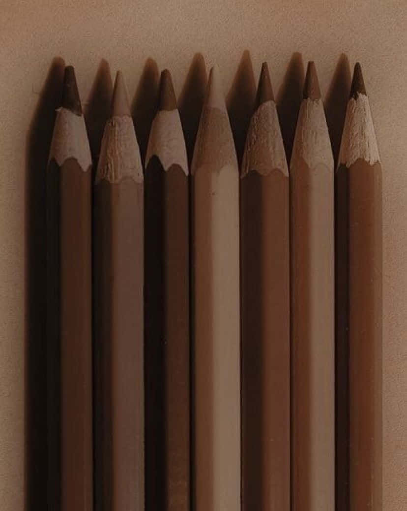 自然の美しさを楽しむ、美しい茶色の風景 壁紙