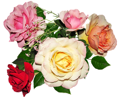 色とりどりのバラの花束 壁紙