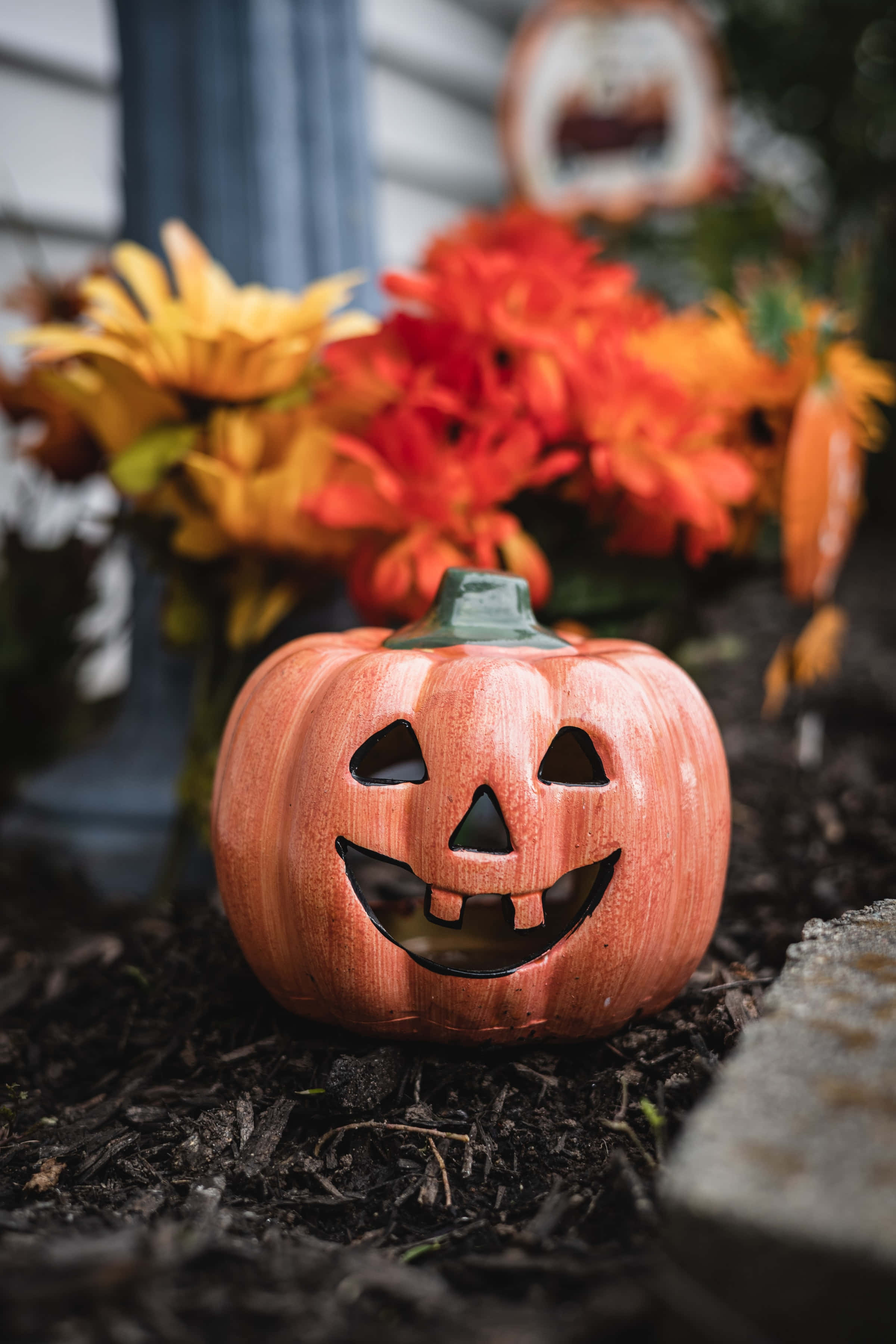 花とカボチャのハイレゾハロウィン背景 壁紙