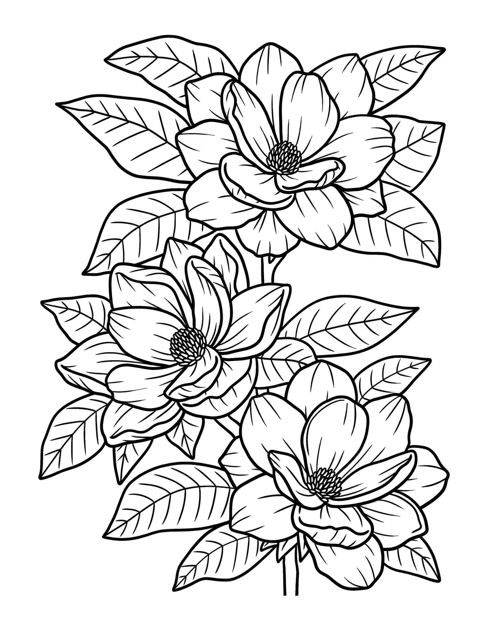花の塗り絵 壁紙