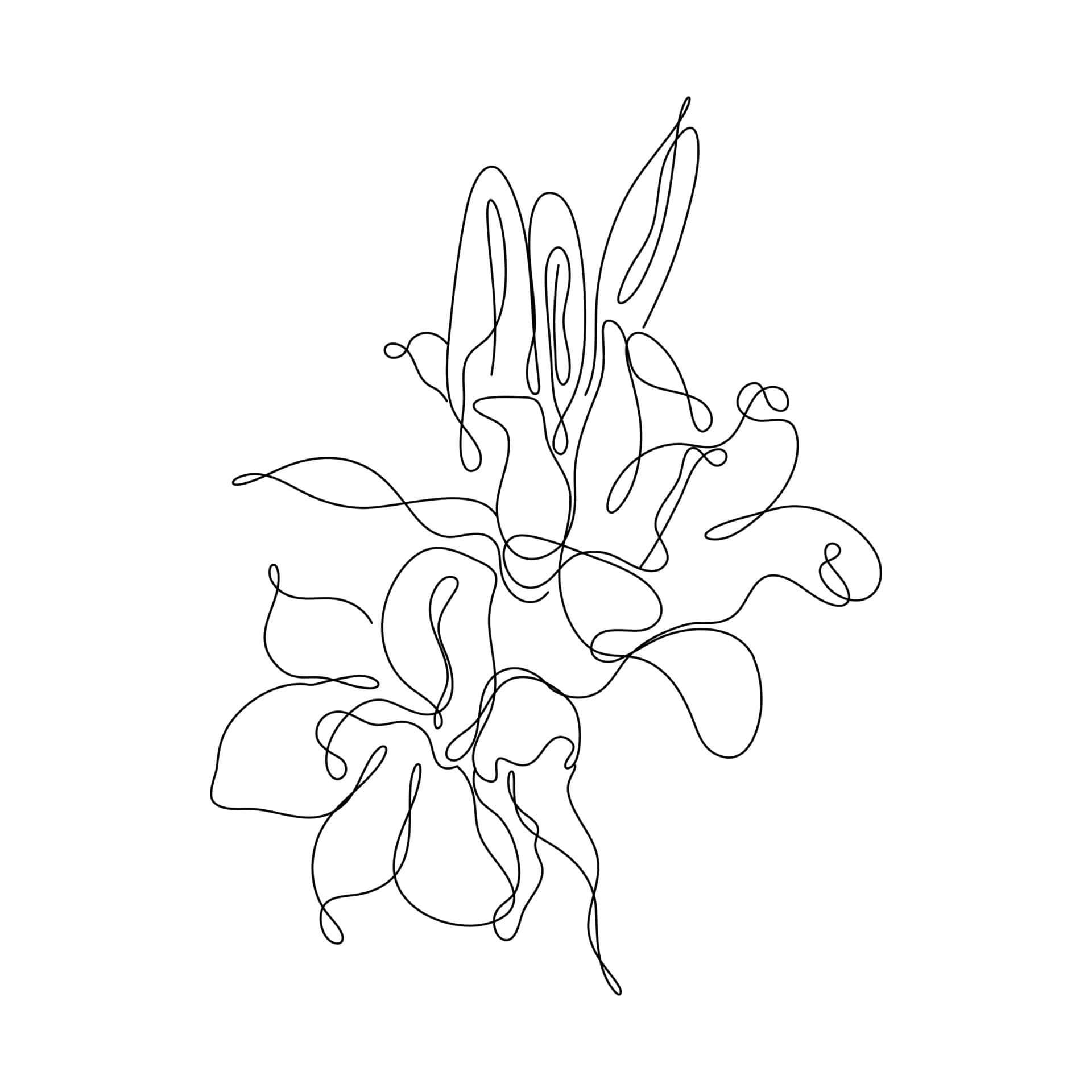 花の線画 壁紙