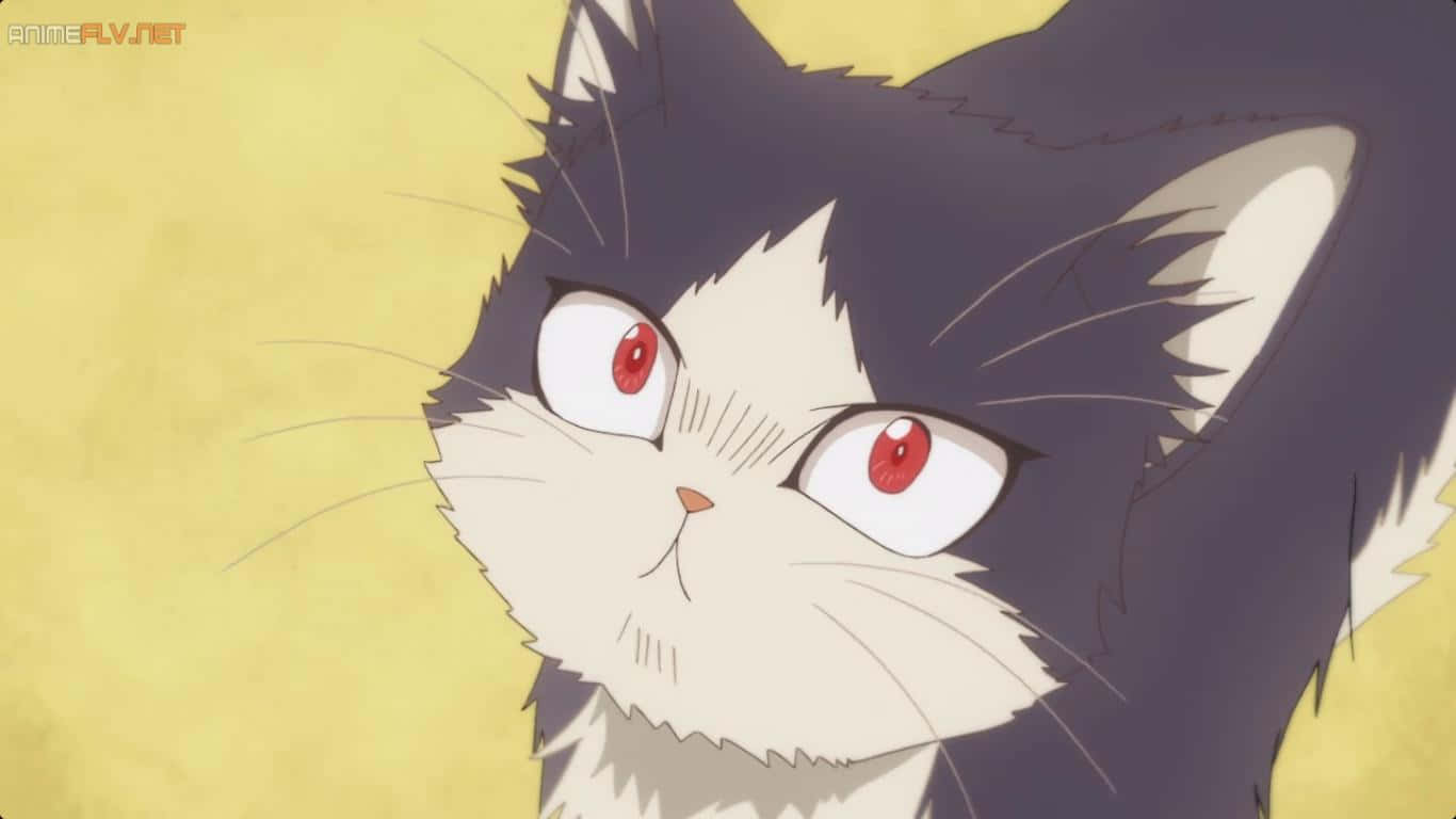 若者が愛猫と穏やかなひとときを過ごす日本のアニメ画像 壁紙