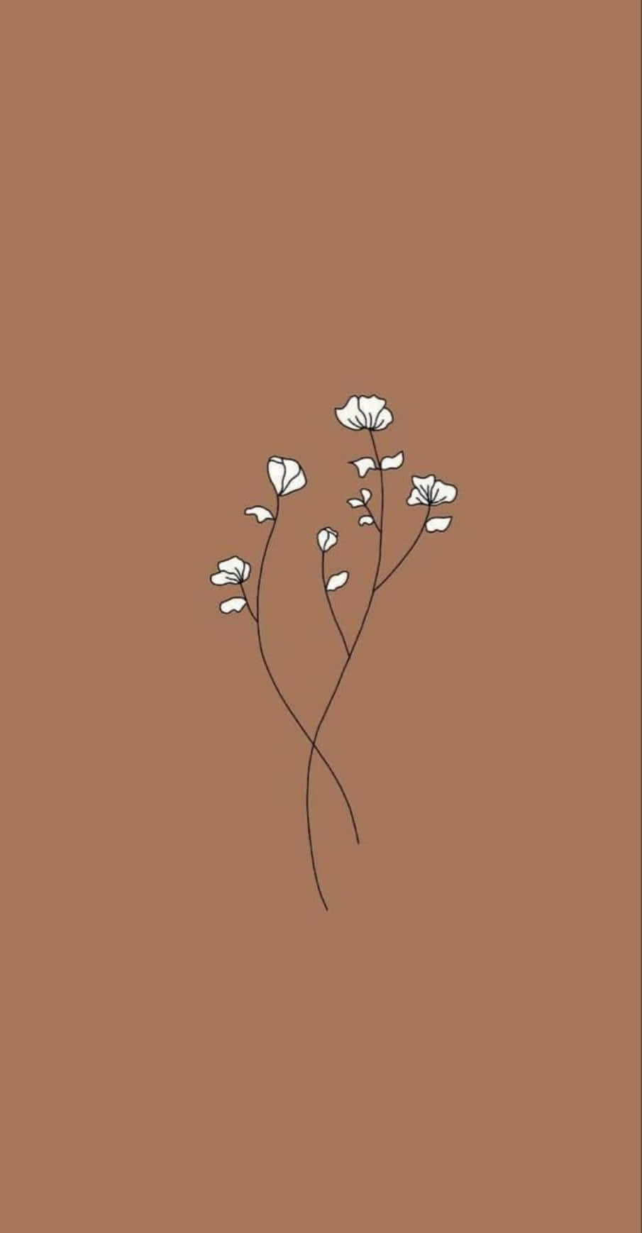 茶色の背景に白い花 壁紙