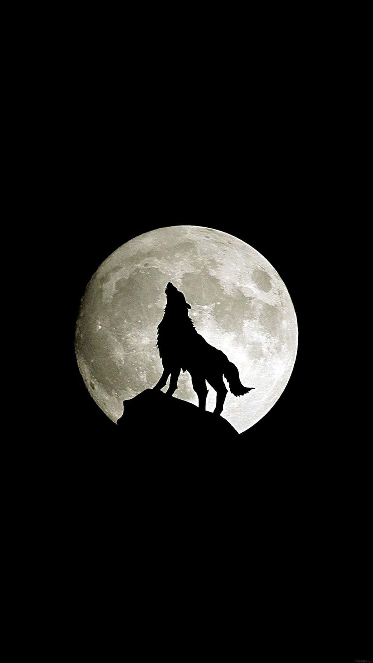 荒野を駆け抜けるWolf iPhone 壁紙