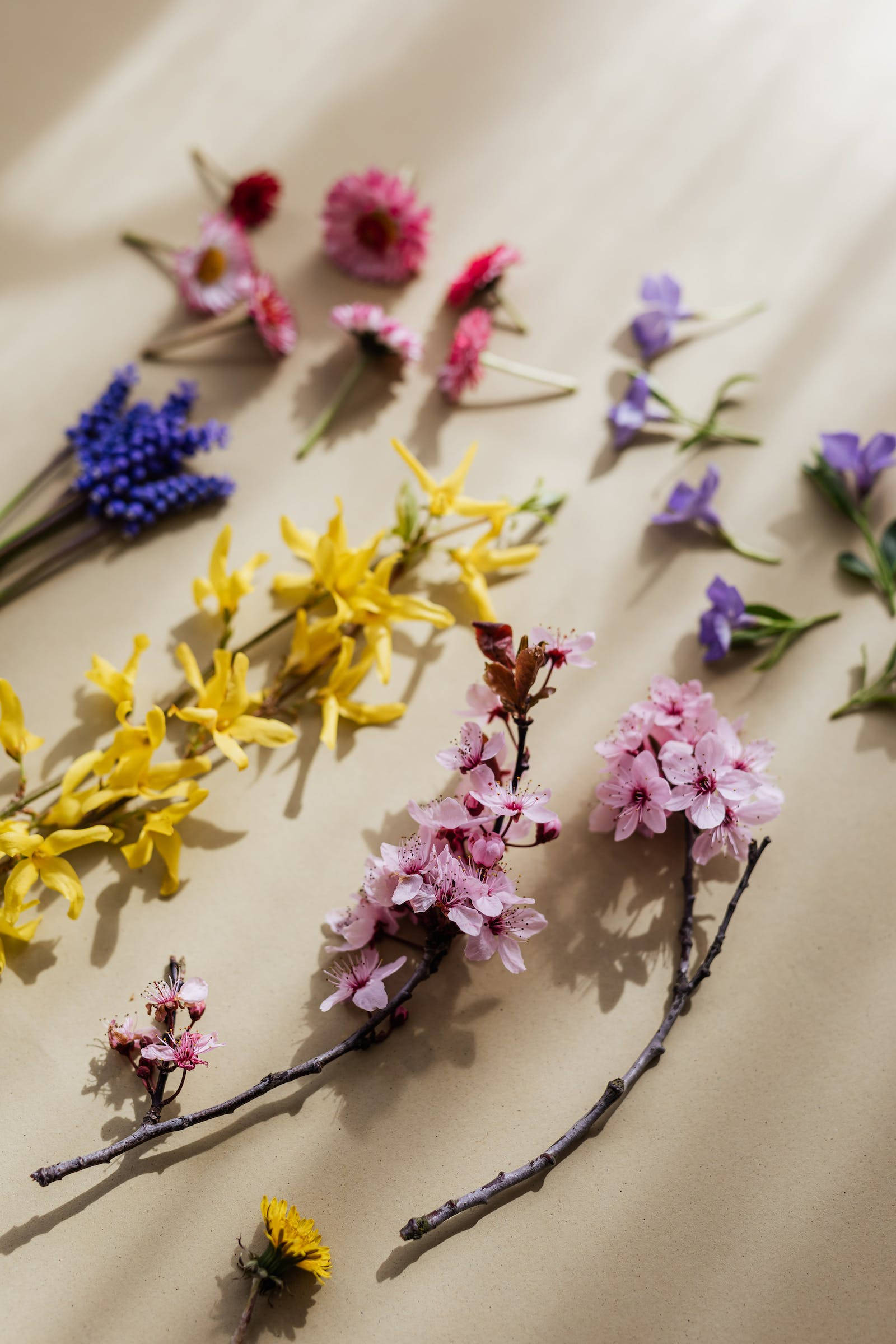 薄紫の花のエステティック 壁紙