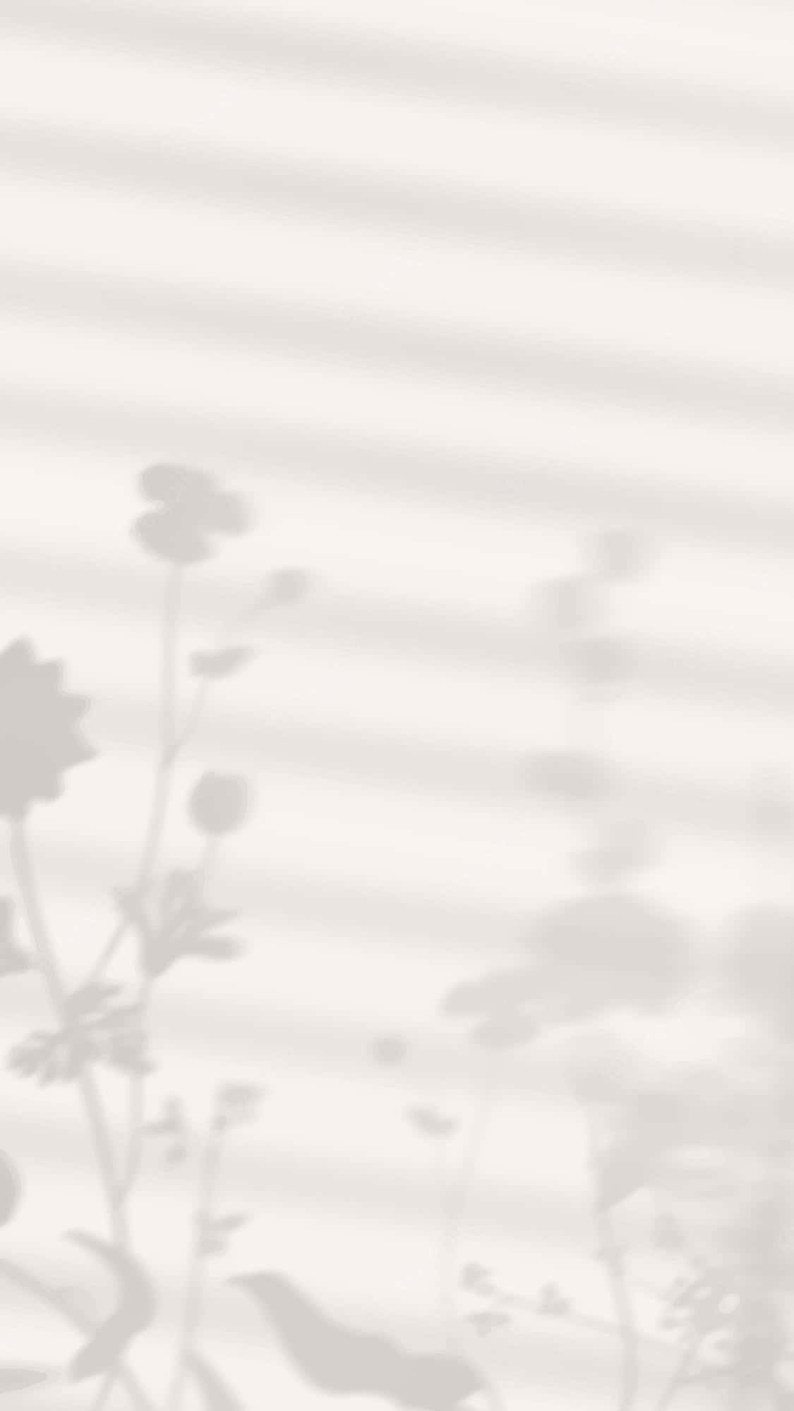 観葉植物の影が美しい壁紙 壁紙