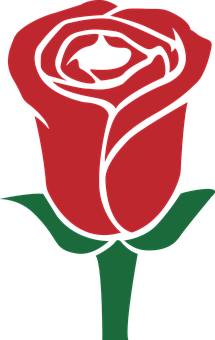 赤い薔薇のベクターアート 壁紙