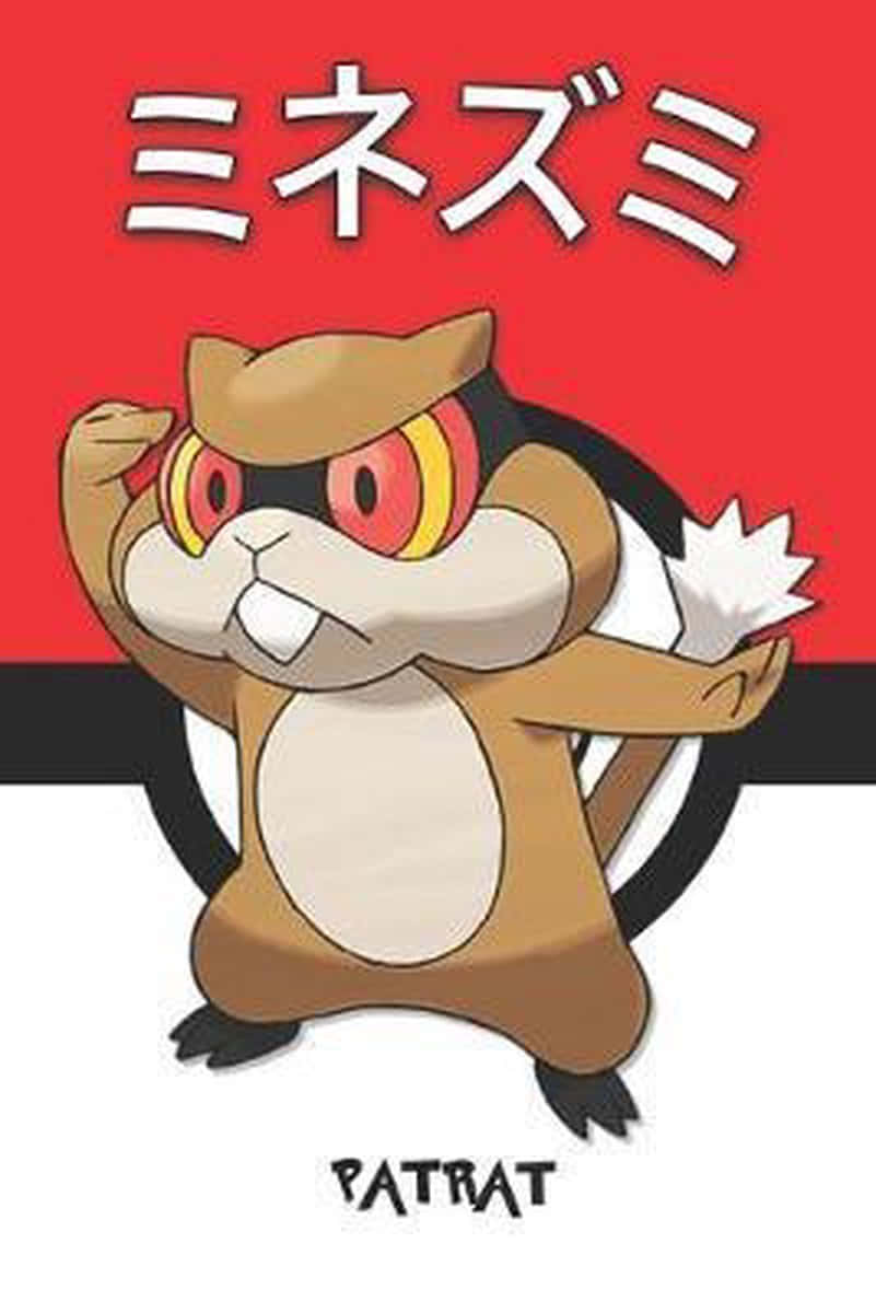 赤と白の背景の前に立つかわいいパトラ 壁紙