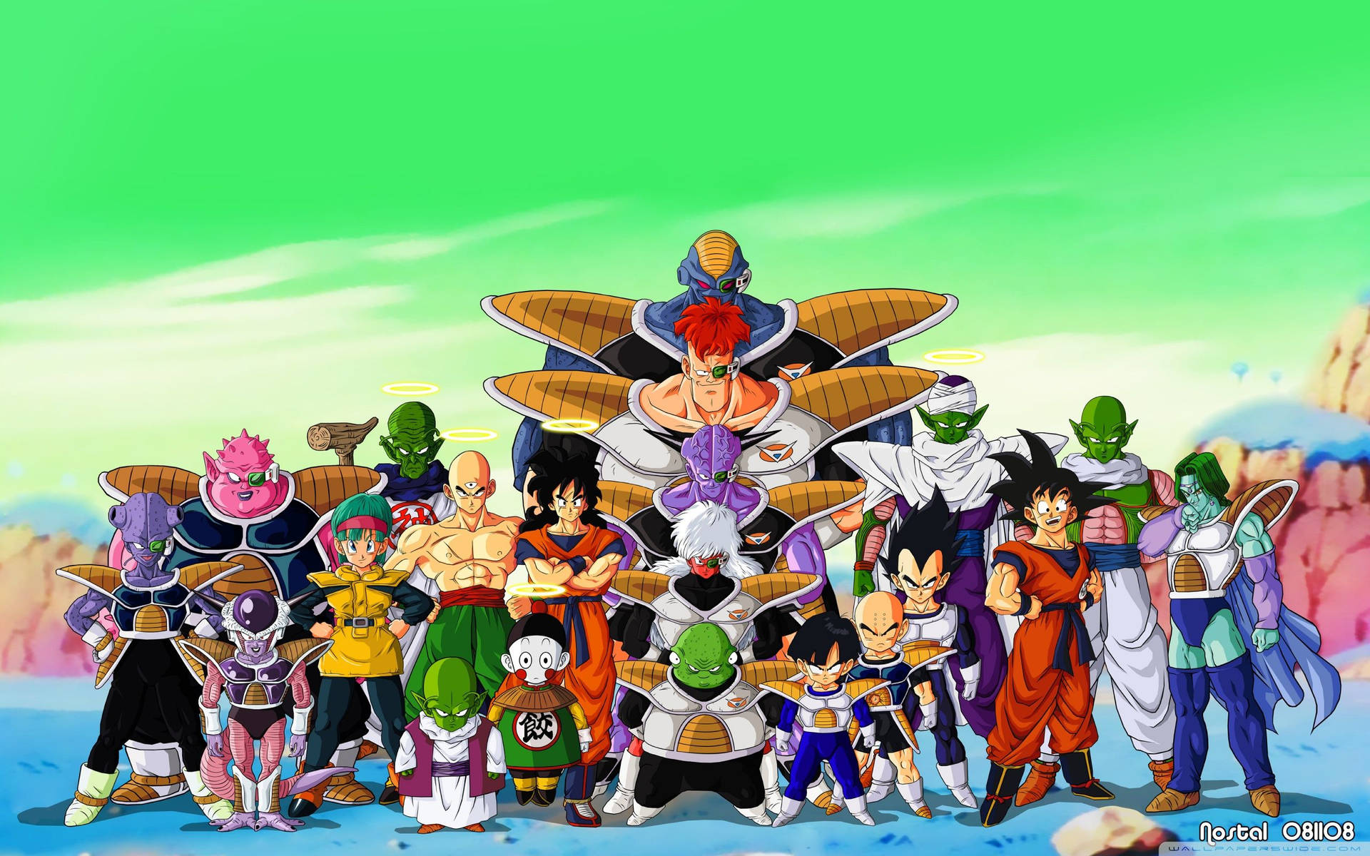 ドラゴンボールZのキャラクター、ナメック星にて、孫悟空、ピッコロ、その他のアンドロイド