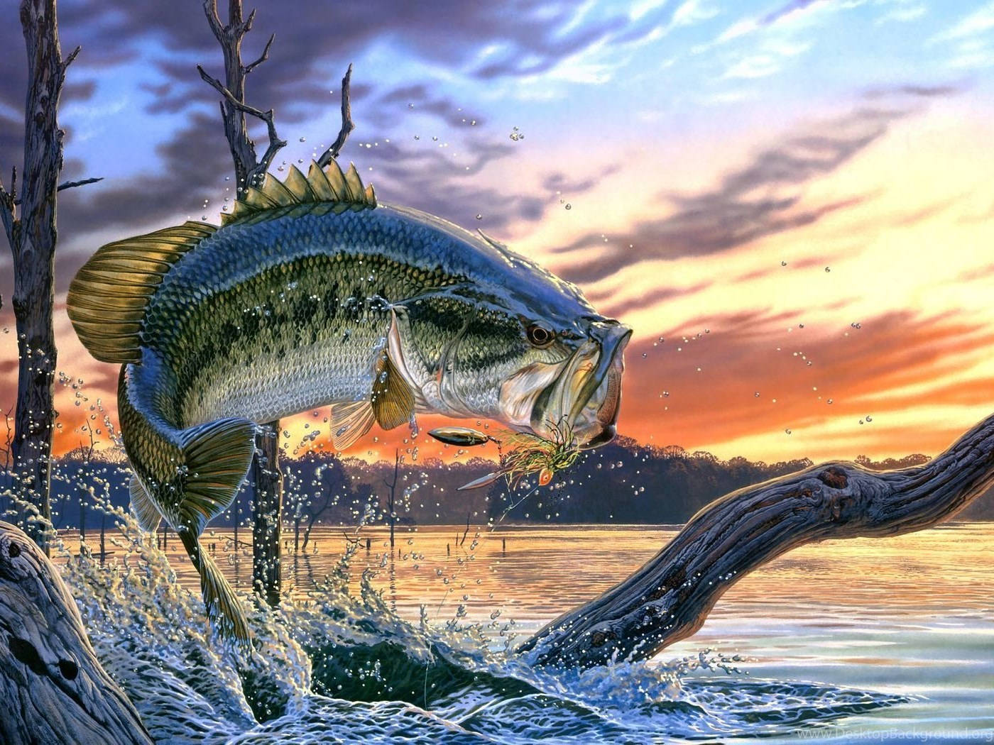跳ねる大きなクールな魚 壁紙