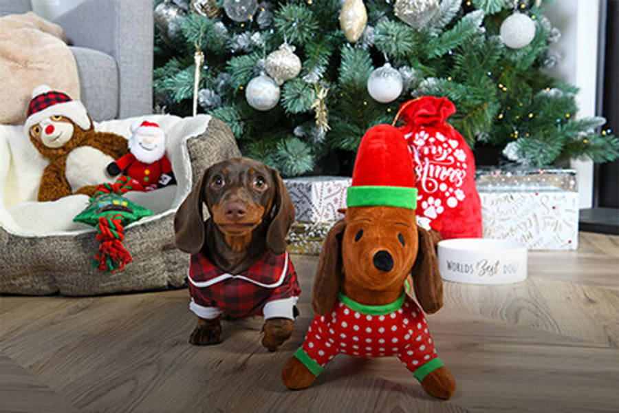 輝くクリスマスツリーの下に並ぶカラフルな手作りクリスマスプレゼント 壁紙
