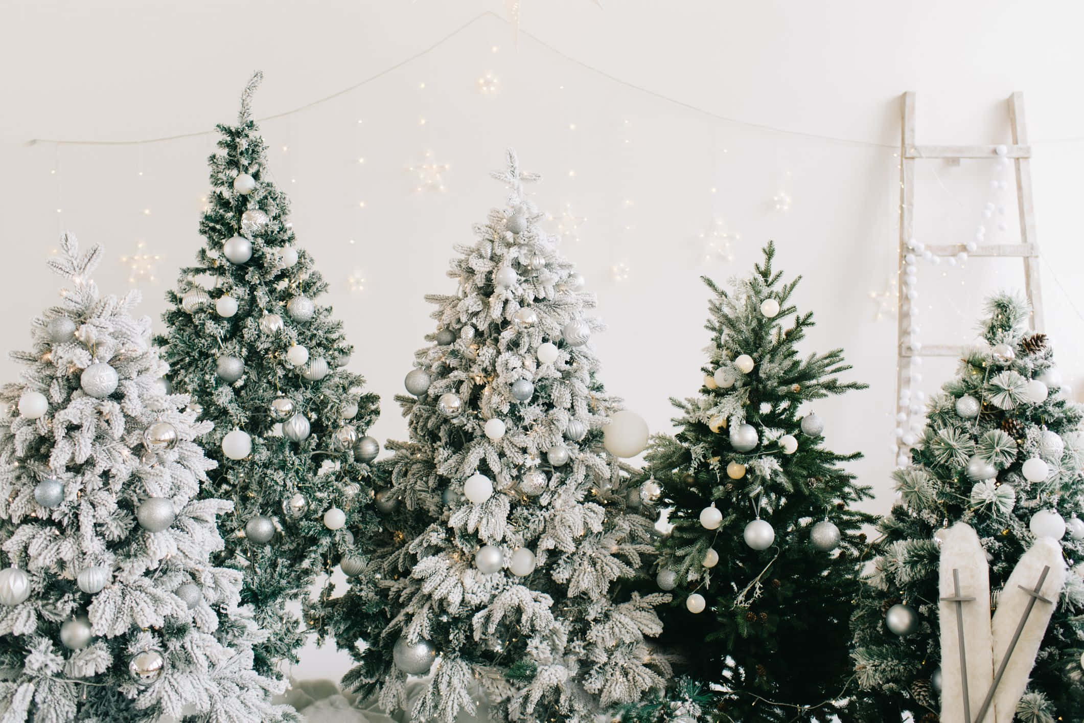 部屋の中のクリスマスツリーの群れ 壁紙