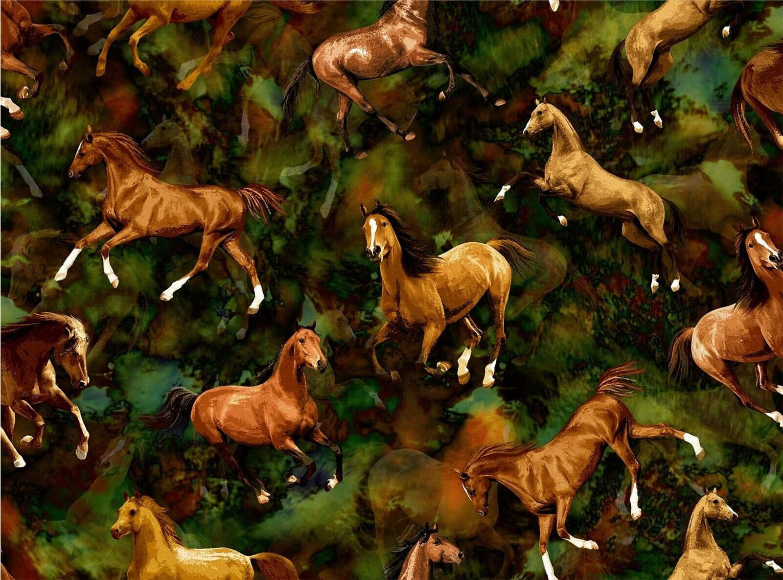 野原を駆ける馬の写真 壁紙