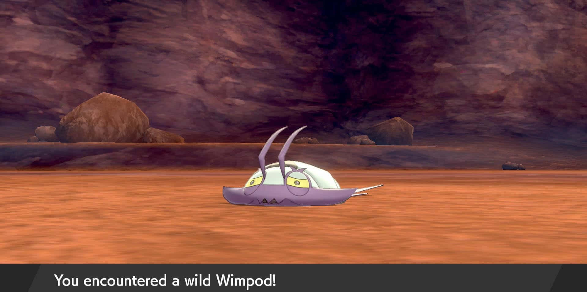 野生のコソクムシ ポケットモンスター ソード・シールド 壁紙