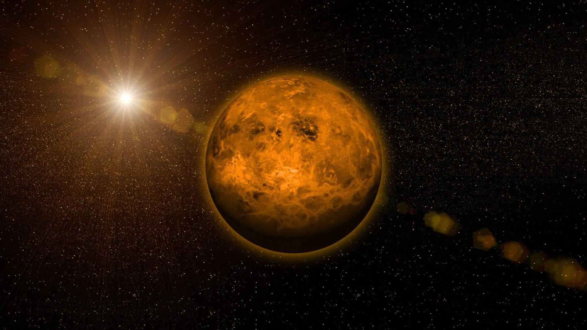 金星 ボケライトスター 壁紙