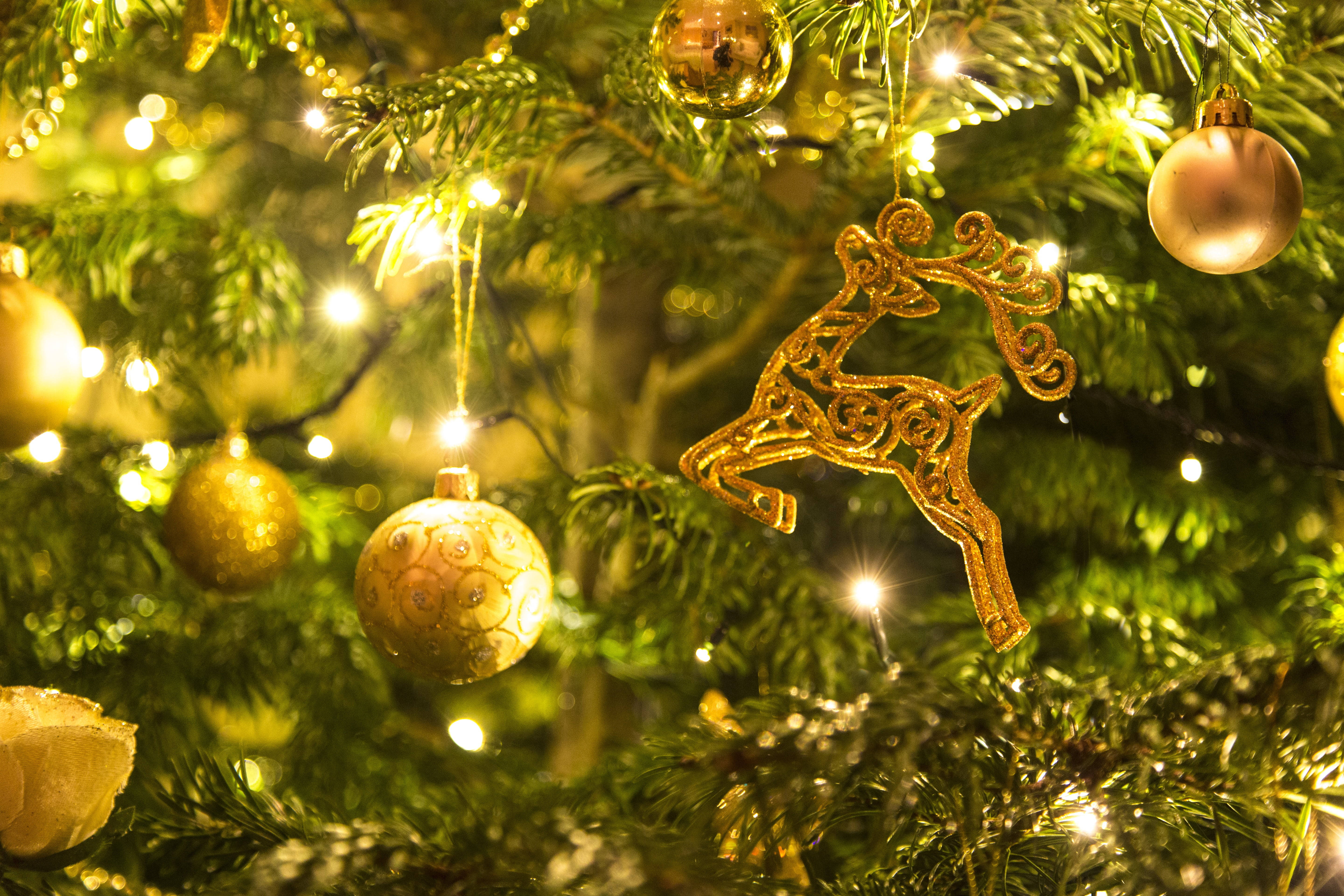 金色のオーナメントで飾られたクリスマスツリー 壁紙