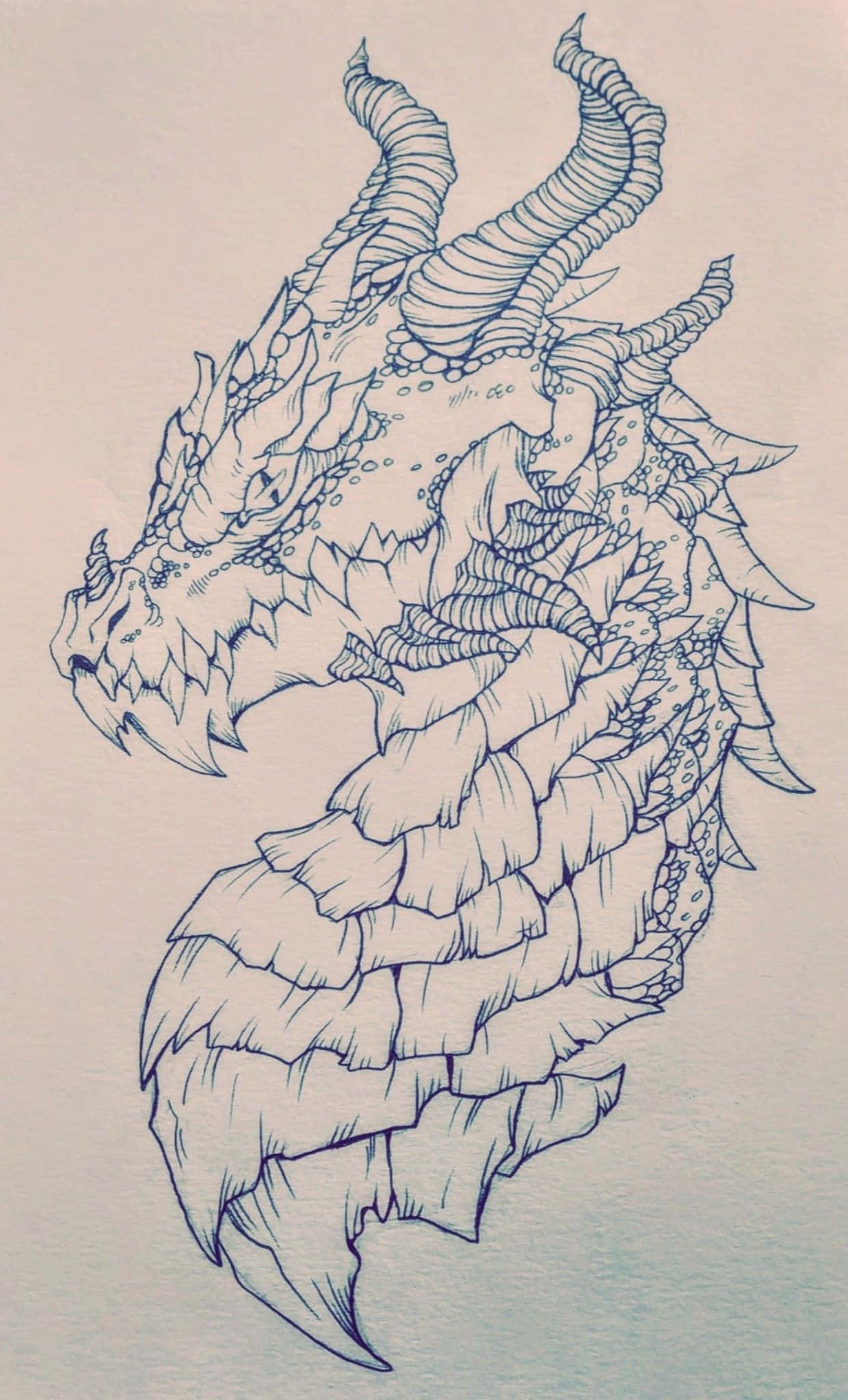 雄大なドラゴンの横顔 壁紙