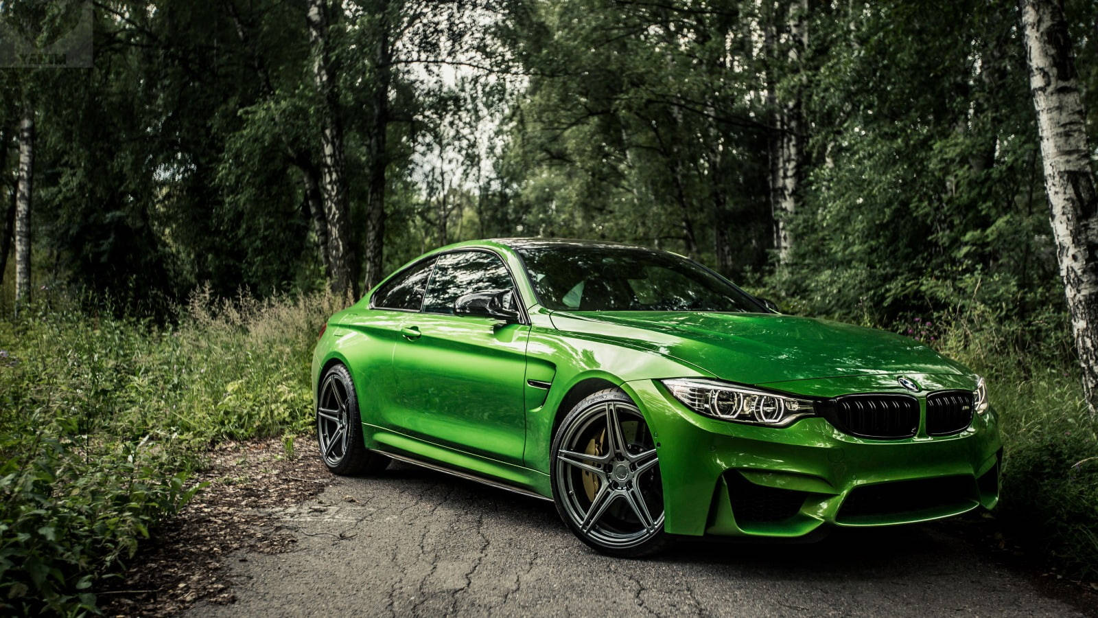 雄大な緑のBMW M4が森を轟かせる 壁紙