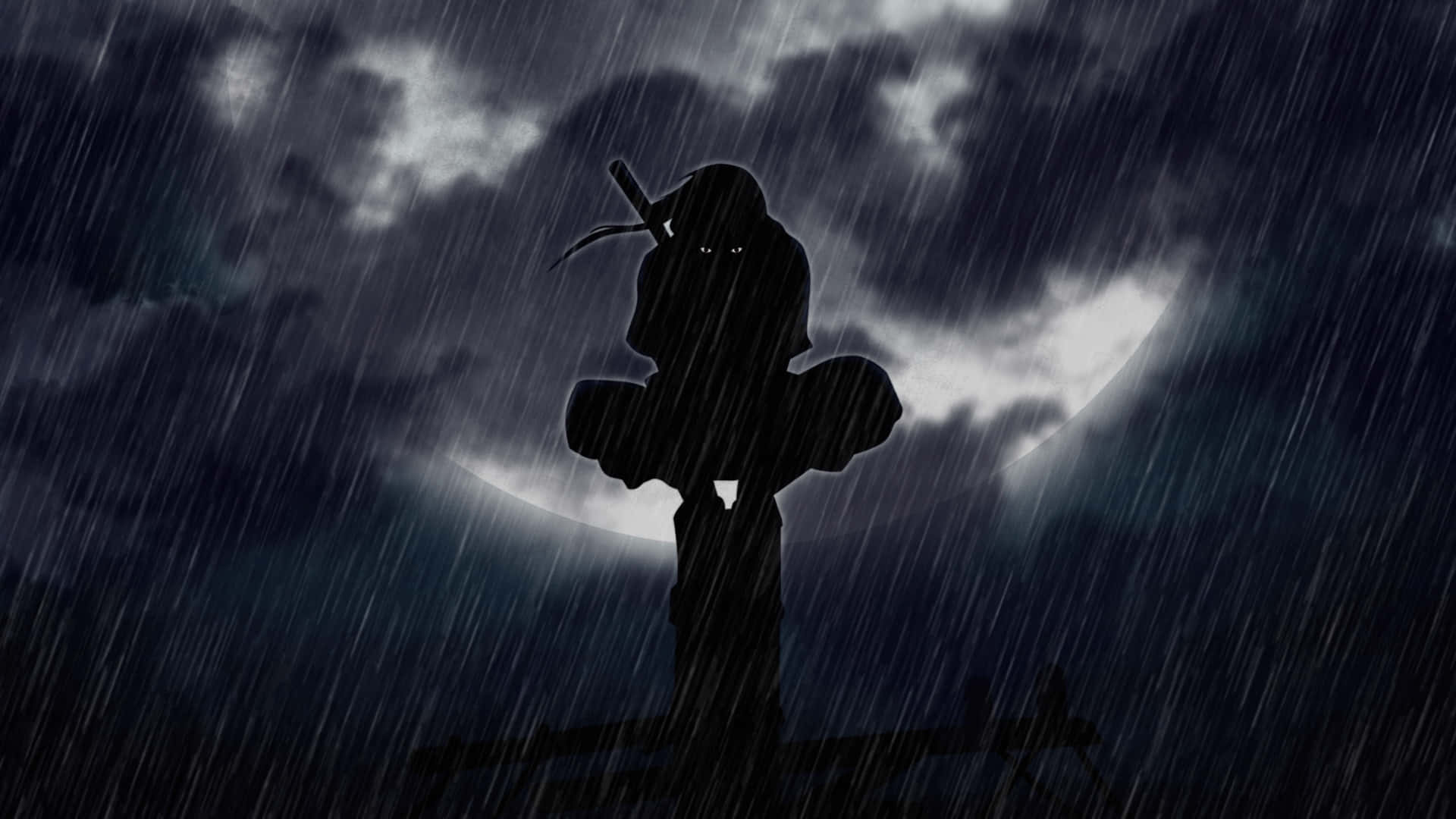雨の夜のイタチライブ 壁紙