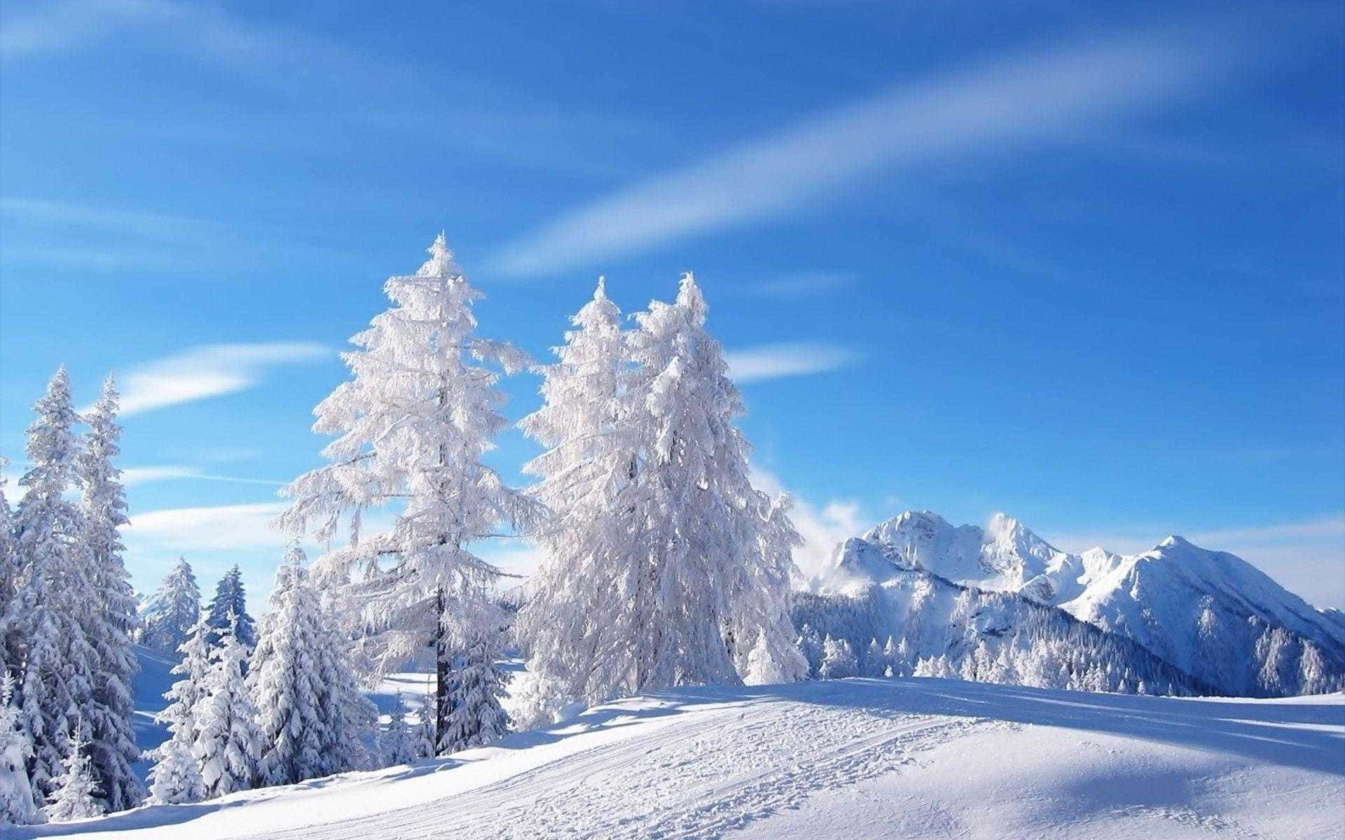 雪に覆われた山の冬のワンダーランド背景 壁紙