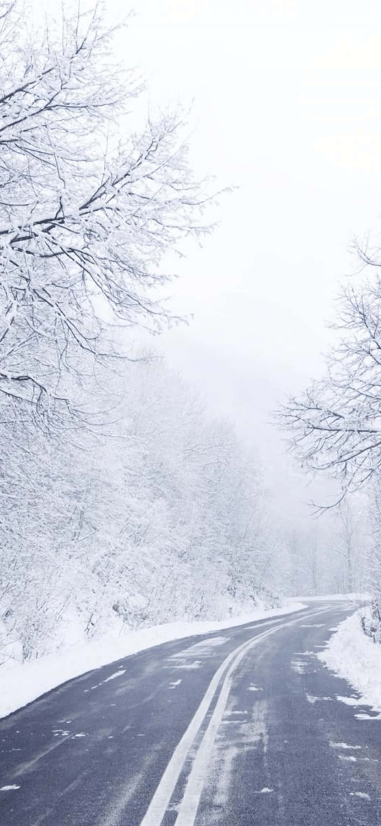 雪に覆われた木々が並ぶ冬の空っぽの道 iPhone XS Max 冬背景 壁紙
