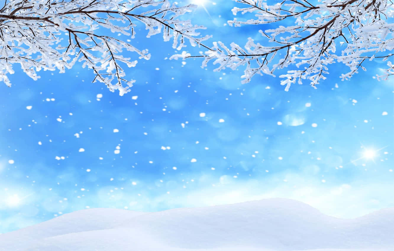雪に覆われた木々と地面に降る雪 壁紙