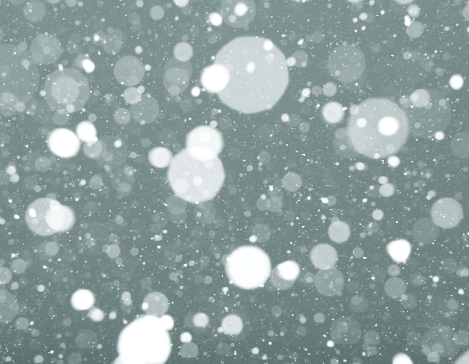 雪に覆われた美しく幻想的な風景。 壁紙