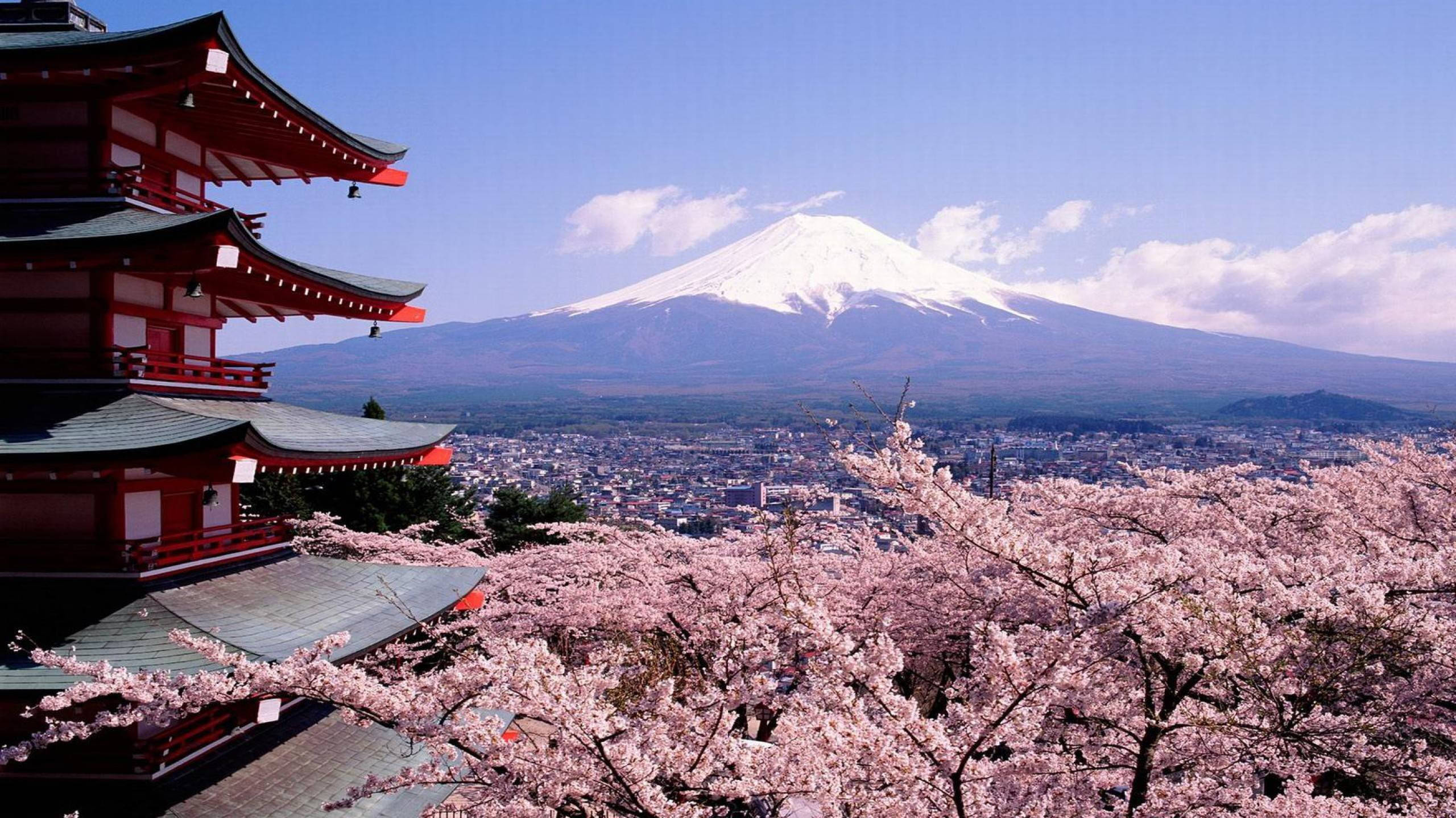 雪の富士山 日本 壁紙