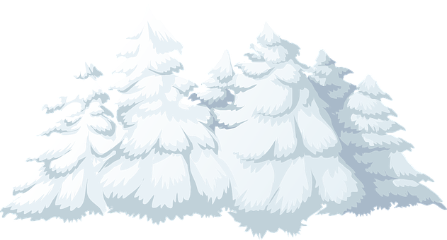 雪の松の木のベクターイラスト 壁紙