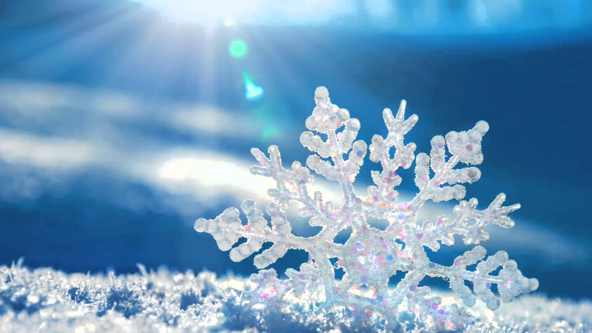 雪の美 クリスタル 壁紙