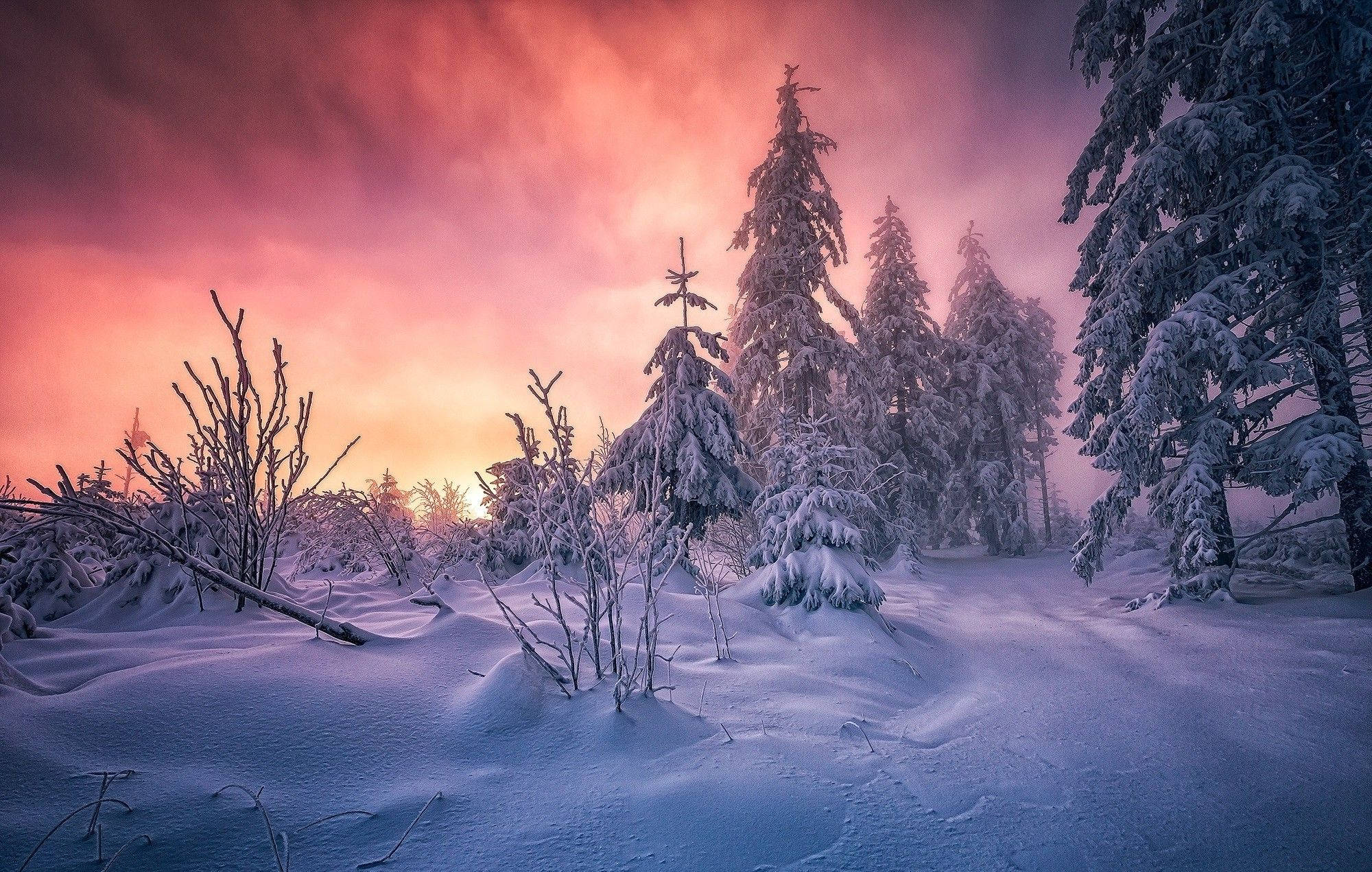 雪景色のオレンジ色の空 壁紙
