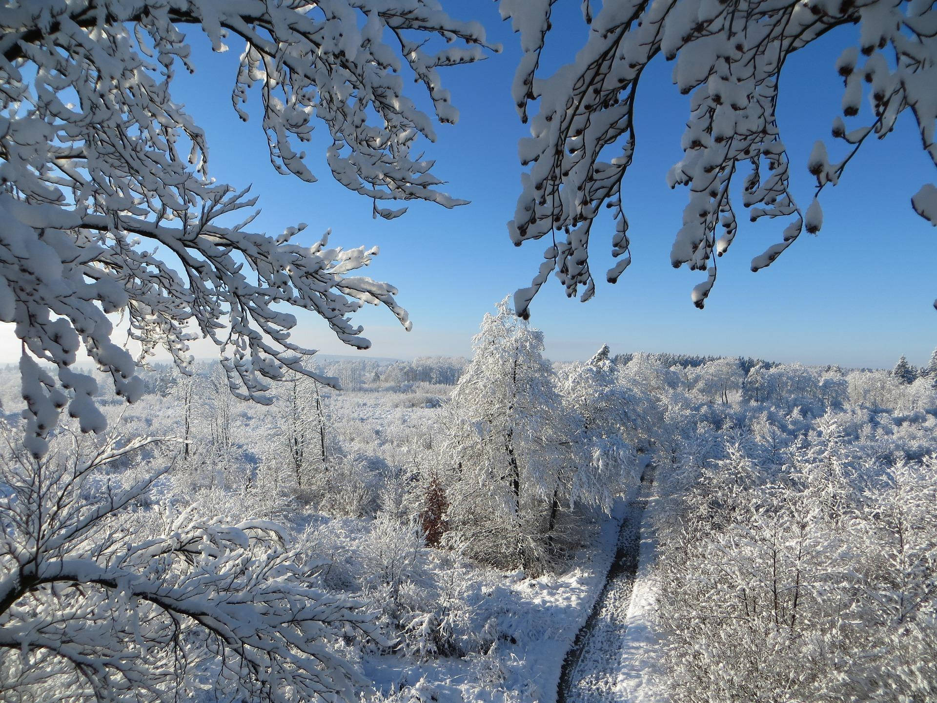 雪景色の美しい眺め 壁紙