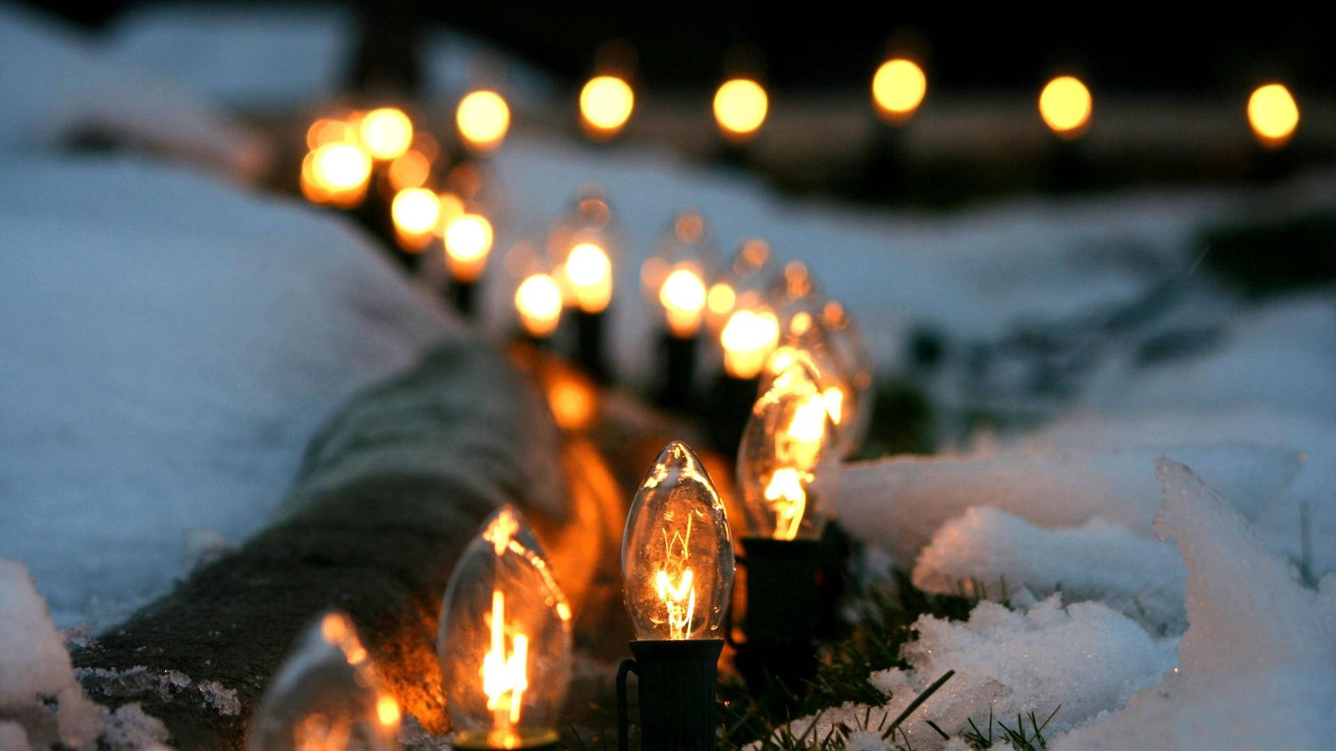 雪景色の美しい電球 壁紙