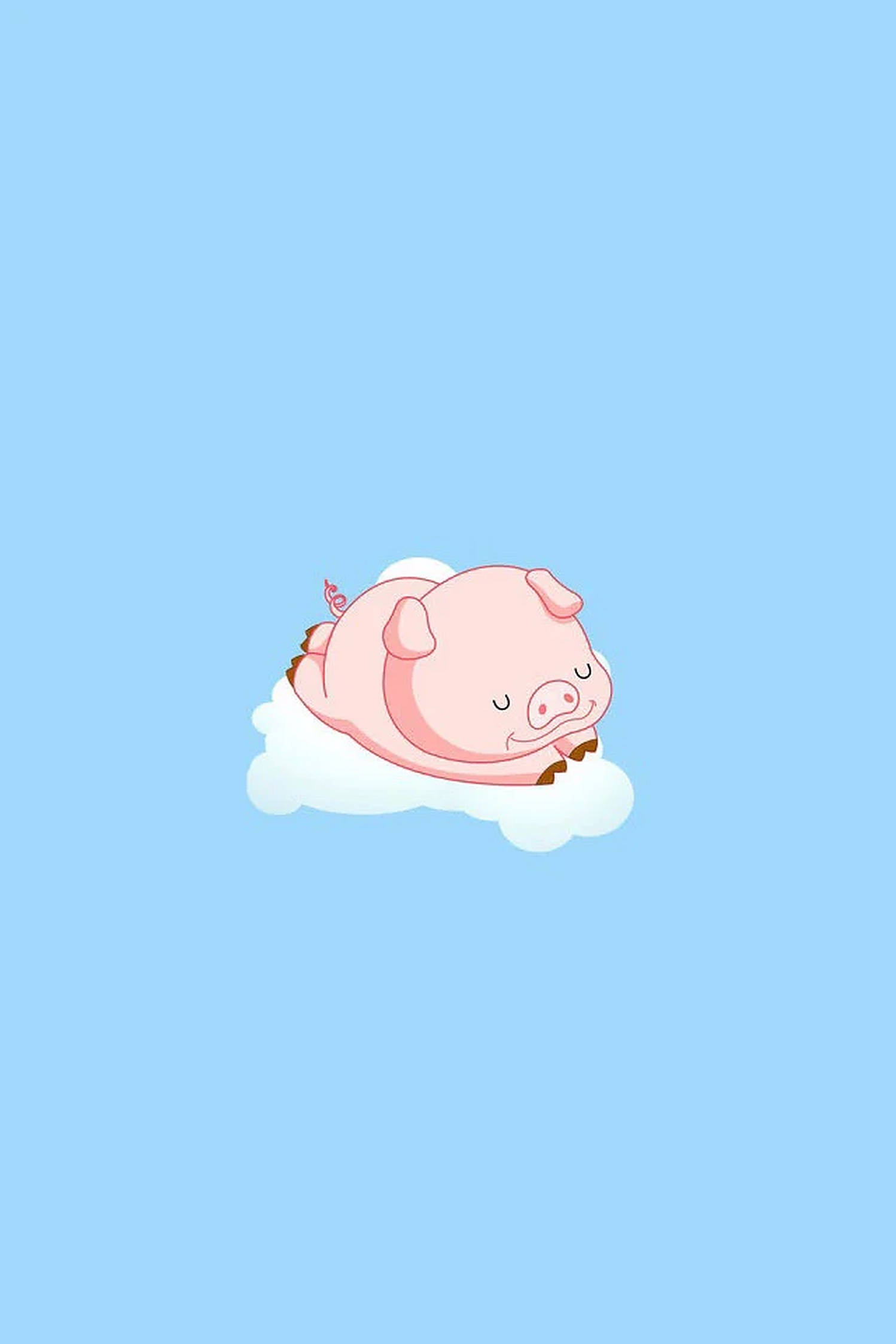 雲の上のかわいいブタ 壁紙