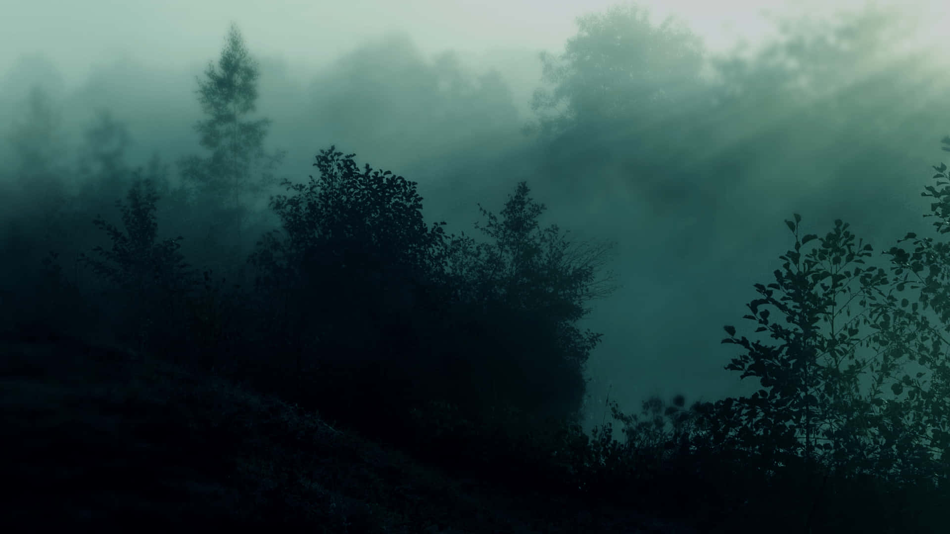 霧の壁紙 HD 壁紙