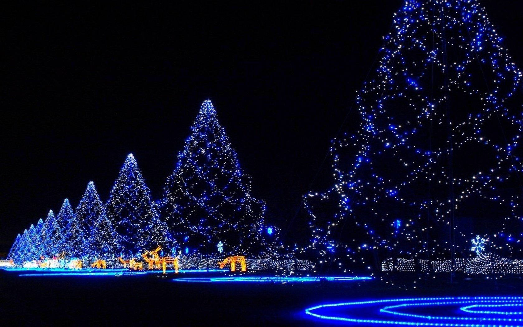 青いクリスマスツリーの風景 壁紙