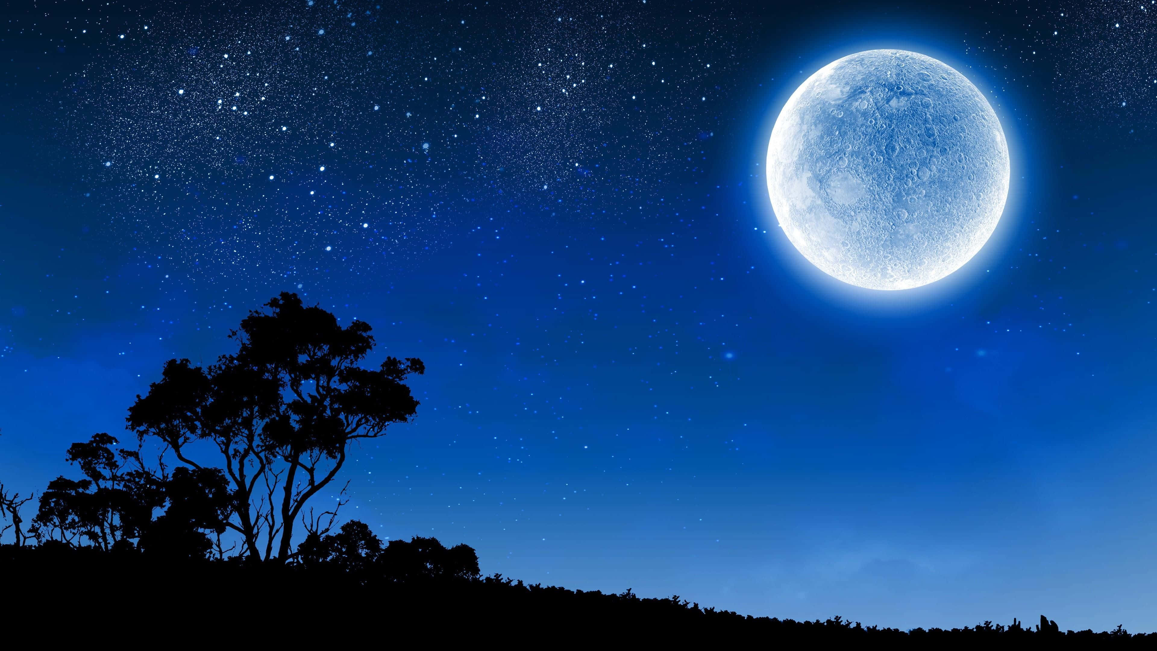 青い星空の月夜 壁紙