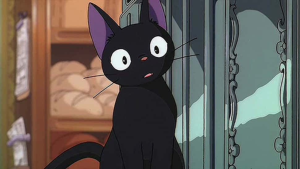 青い瞳のアニメ猫が夕日を楽しむ 壁紙