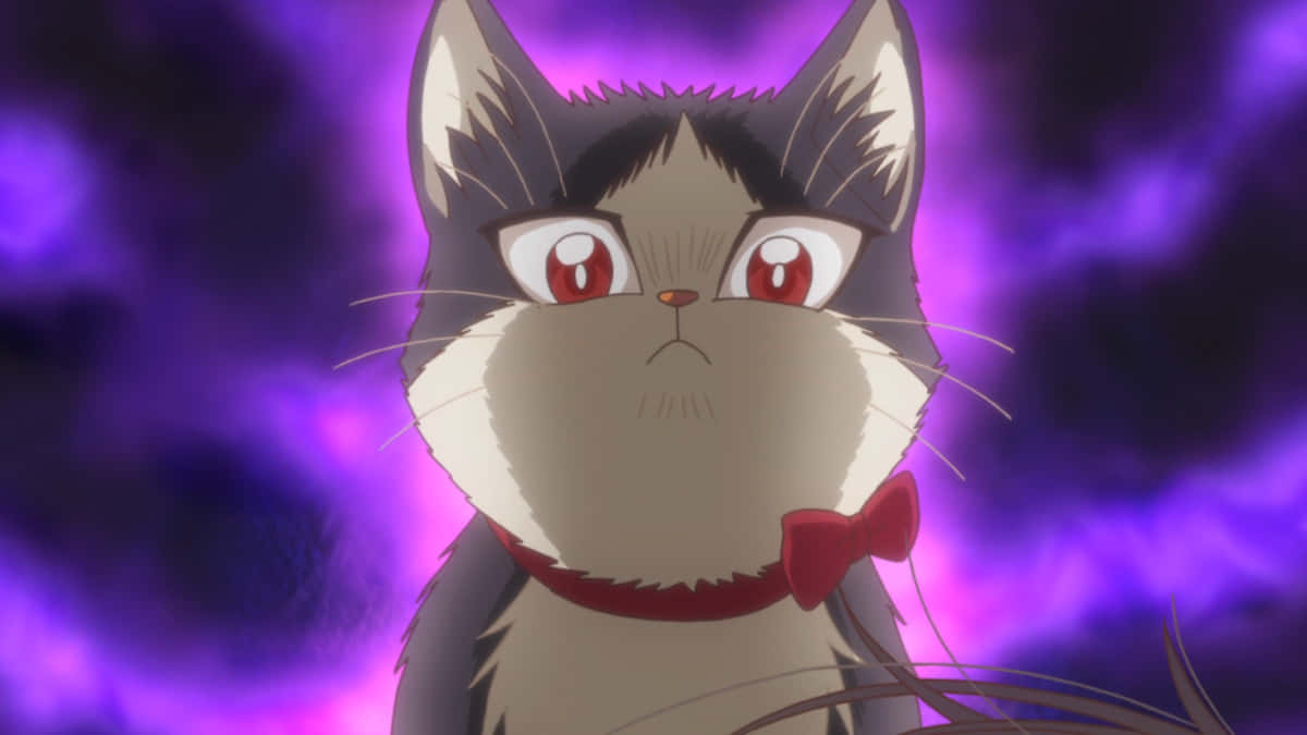 青年と愛猫の愛情あふれるひととき 壁紙